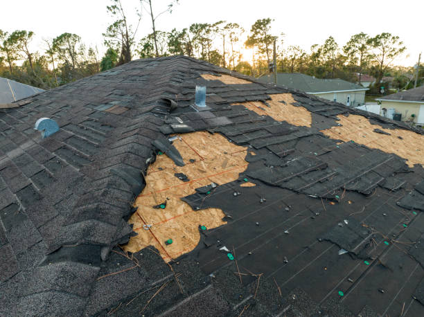 Steel Roofing in Hilton, NY