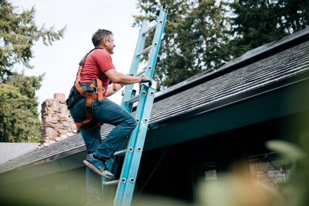 Best Gutter Replacement  in Hilton, NY