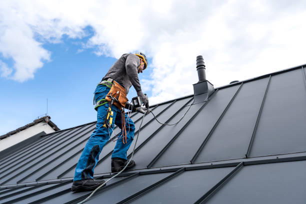 Best Skylight Installation and Repair  in Hilton, NY