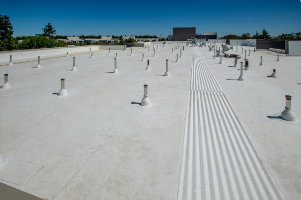 Best Roof Ventilation Installation  in Hilton, NY